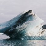 pexels-photo-34529813-2