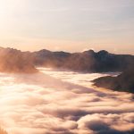 pexels-photo-34530095