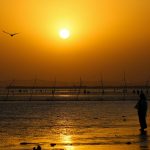 pexels-photo-34544531